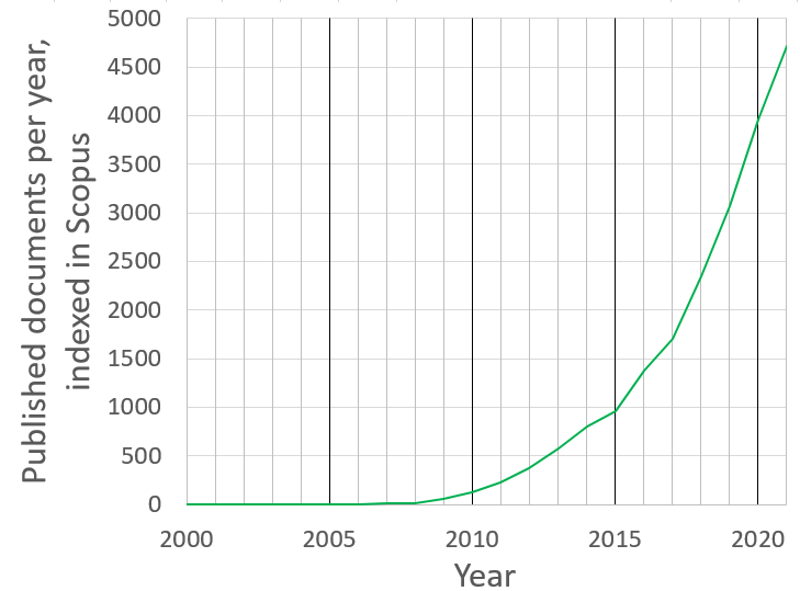 *Peer-reviewed publications containing the keyword biochar published annually, as indexed in Scopus*